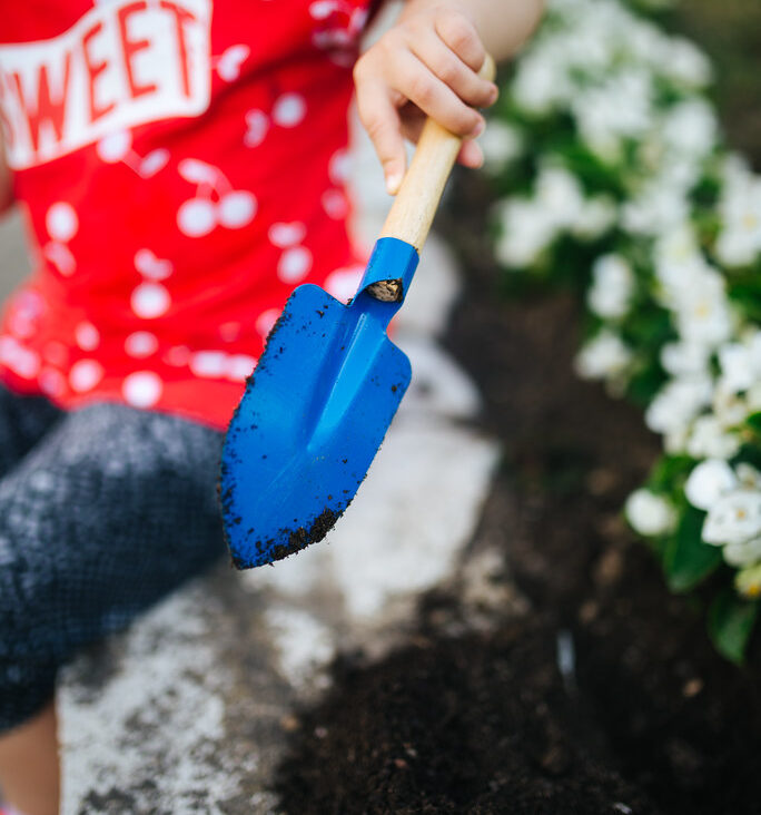 Toddler holding a small gardening shovel