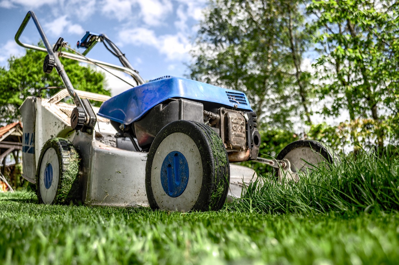 lawn mower grass garden front yard 384589