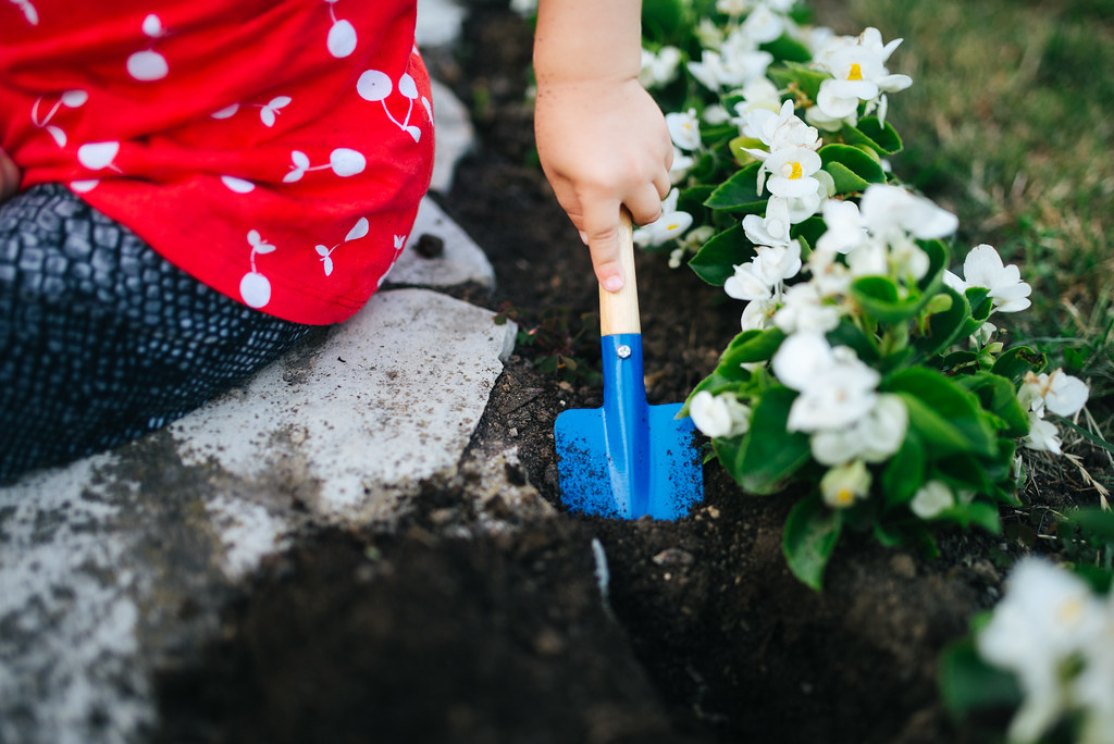 Toddler digging with a small gardening shovel